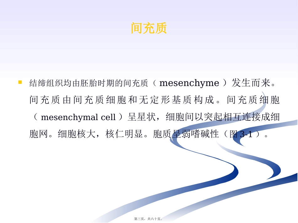 第3章  固有结缔组织 生物教学课件_第3页