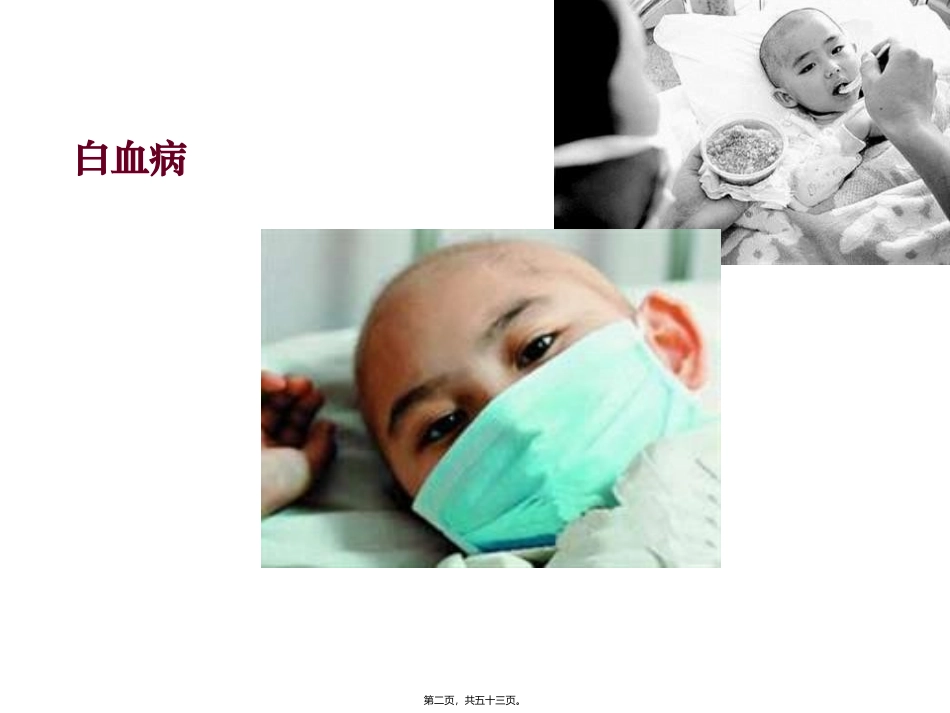 第二节细胞的分化医学教学课件_第2页