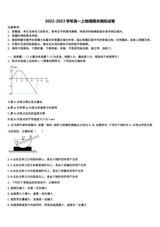 湖北省武汉市武汉外国语学校2022年物理高一第一学期期末学业质量监测试题含解析