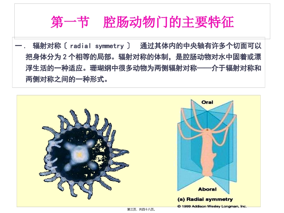 第六节腔肠动物门(Coelenterata) 医学教学课件_第3页