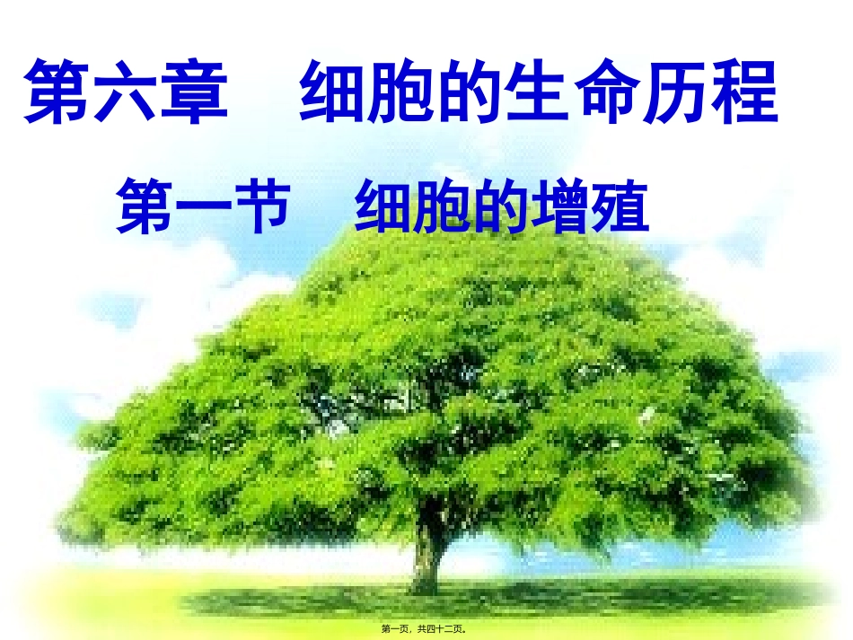 第六章  细胞的生命历程  生物教学课件_第1页