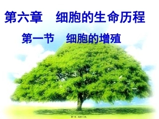 第六章  细胞的生命历程  生物教学课件