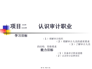 第二章-审计组织与人员 教学课件