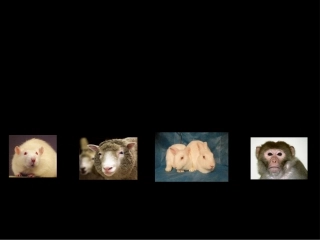 第六章  细胞的生命历程细胞分化 生物教学课件