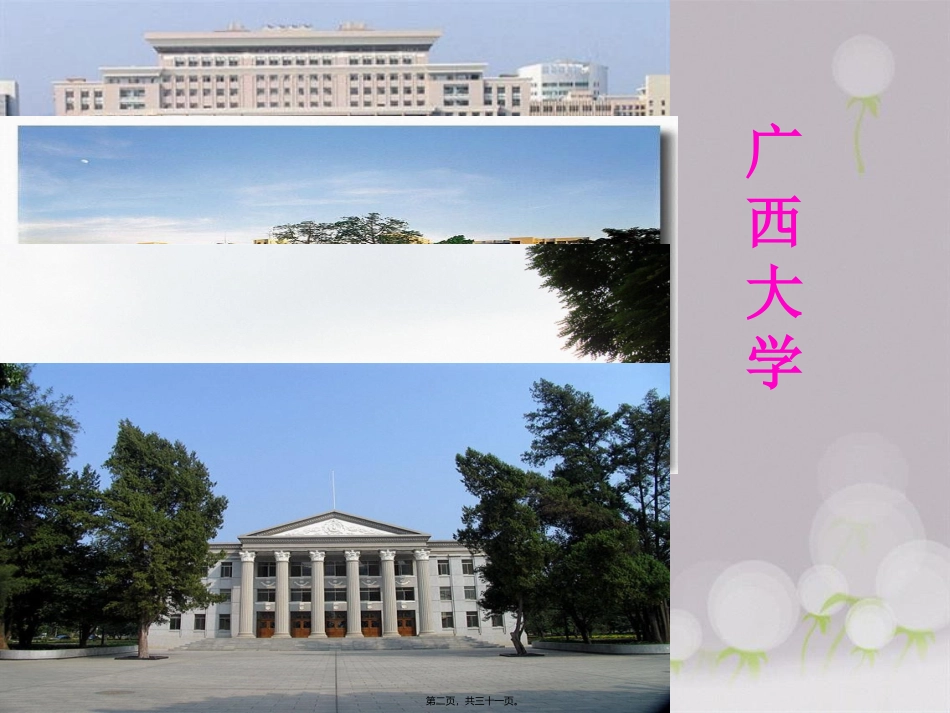 “我的未来我做主”高三填报志愿主题班会_第2页