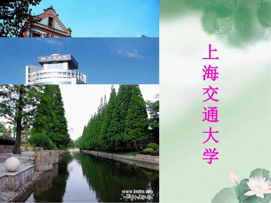 “我的未来我做主”高三填报志愿主题班会_第3页