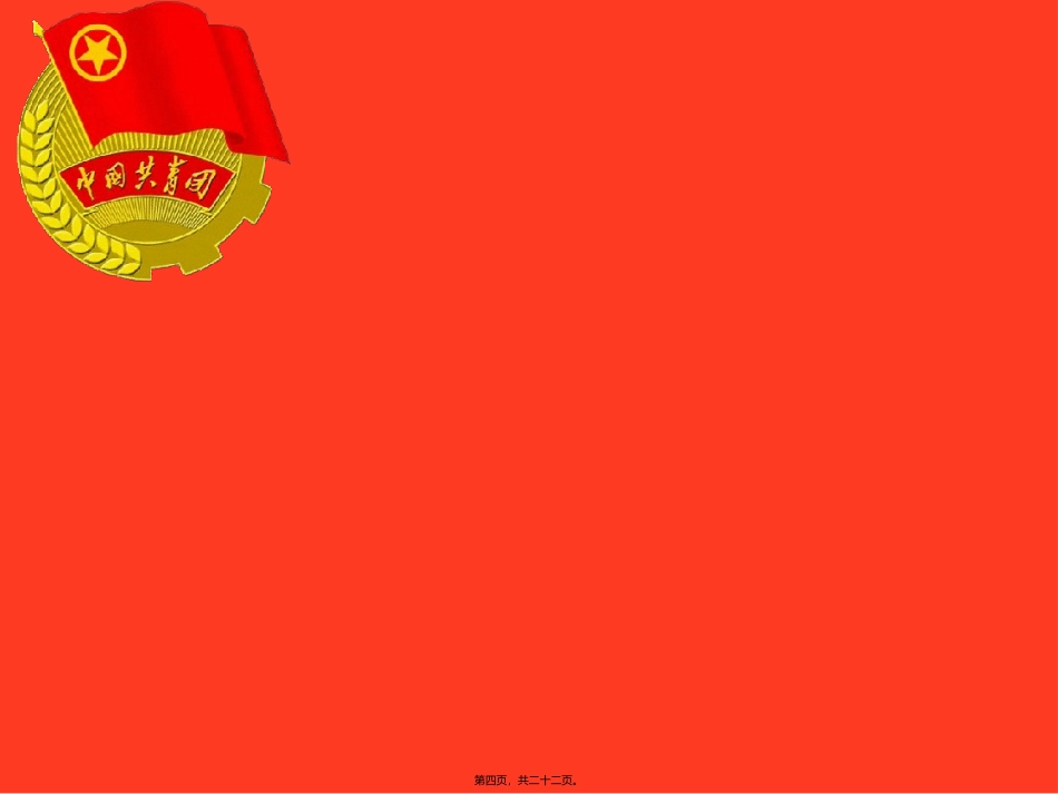 “我的支部我的团”演讲_第3页