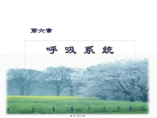 第六章 呼吸系统 教学课件