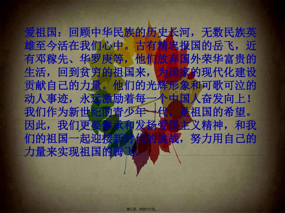 “五爱新人”主题班会_第3页