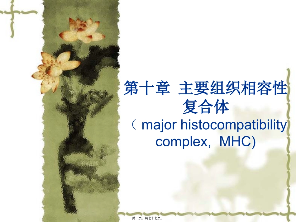 第六章主要组织相容性复合体 医学教学课件_第1页