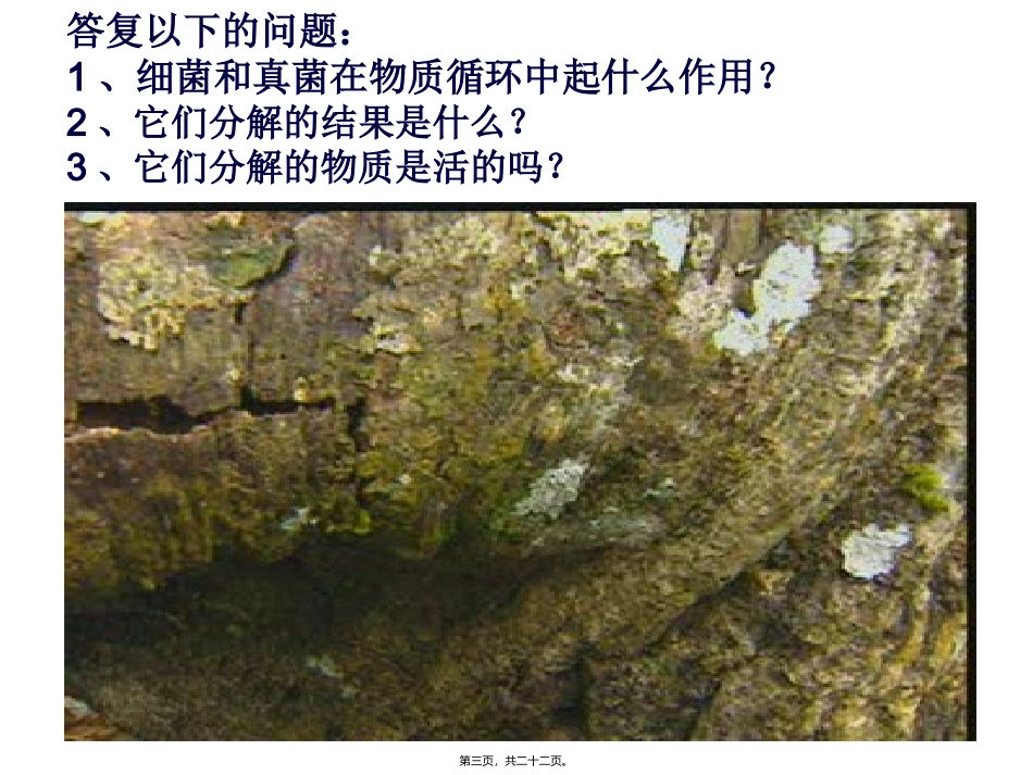 第四节细菌和真菌在自然界中的作用 培训教学课件_第3页