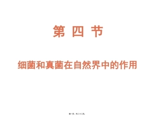 第四节细菌和真菌在自然界中的作用 培训教学课件
