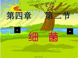 第四章   第二节 细菌(课改) 教学课件