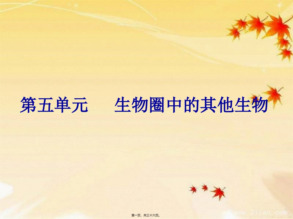 第五单元 生物圈中的其他生物 教学课件_第1页