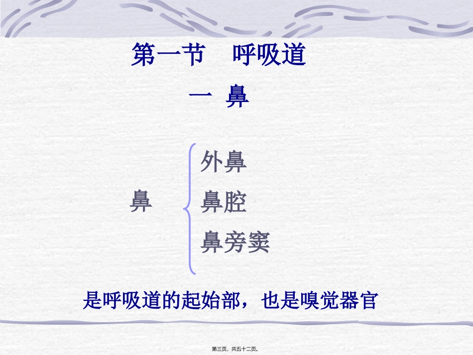 第五章 呼吸系统 教学课件_第3页
