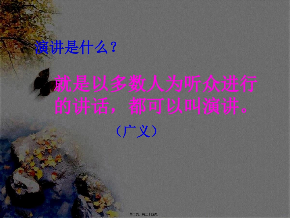 “言”关于演讲和口才的天下演讲_第2页
