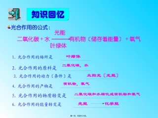 第五章第二节呼吸作用消耗氧气释放二氧化碳 医学教学课件