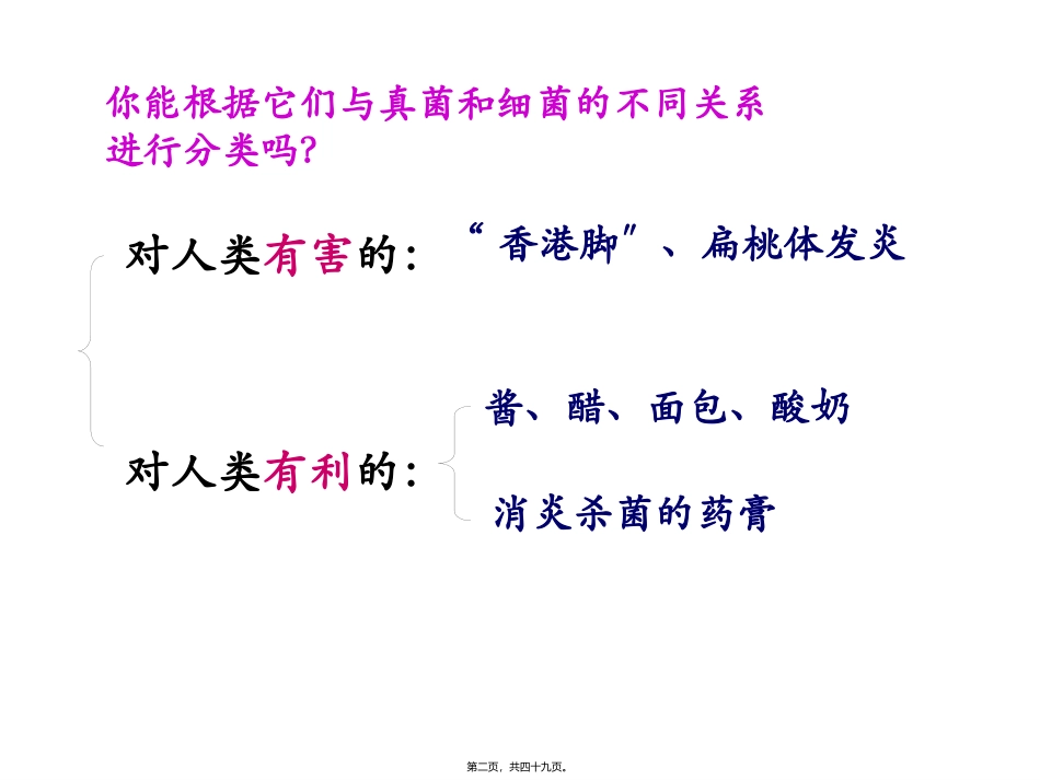 第五章第二节人类对细菌和真菌的利用 教学课件_第2页