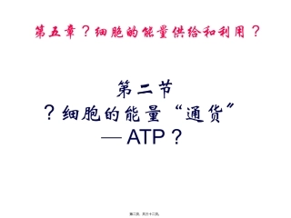 第五章第二节细胞的能量“通货”──ATP(2)(人教版必修1) 教学课件