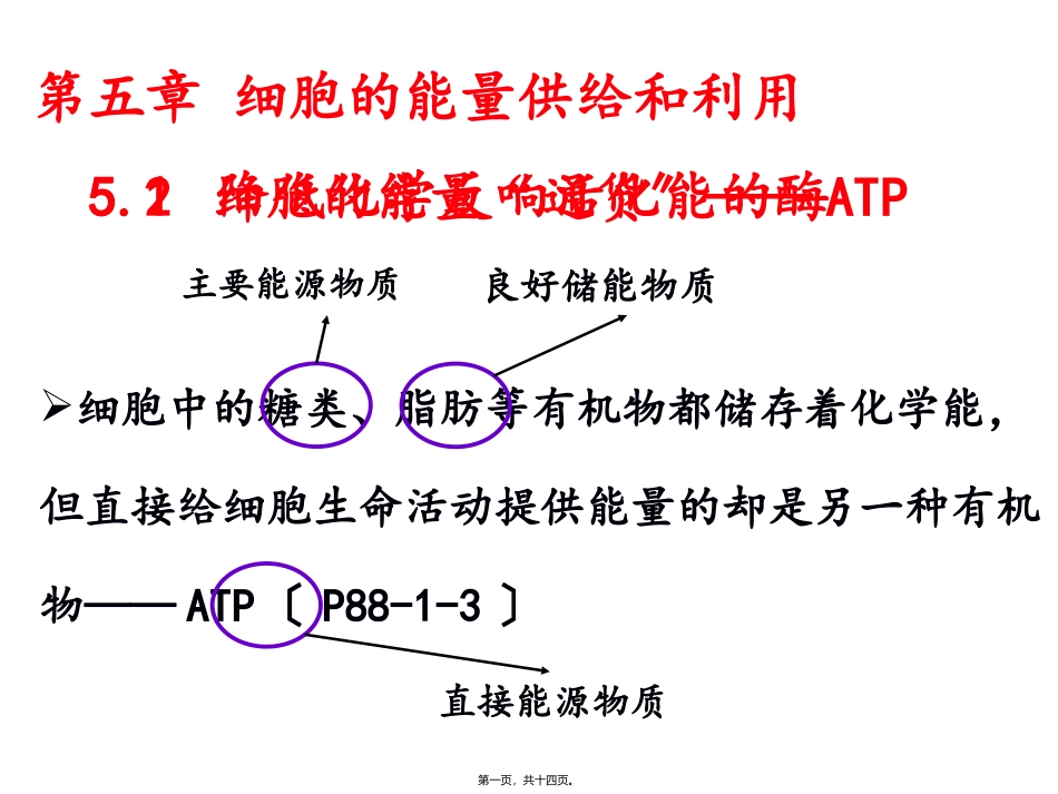 第五章第二节细胞的能量“通货”——ATP 教学额课件_第1页