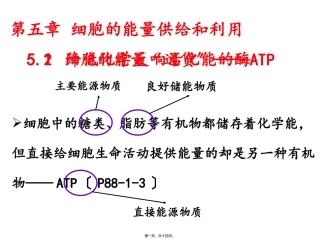 第五章第二节细胞的能量“通货”——ATP 教学额课件
