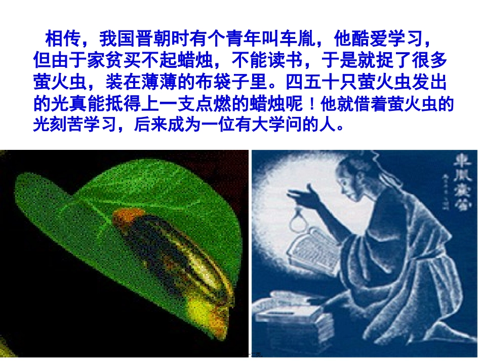 第五章第二节细胞的能量“通货”——ATP 生物课件_第2页