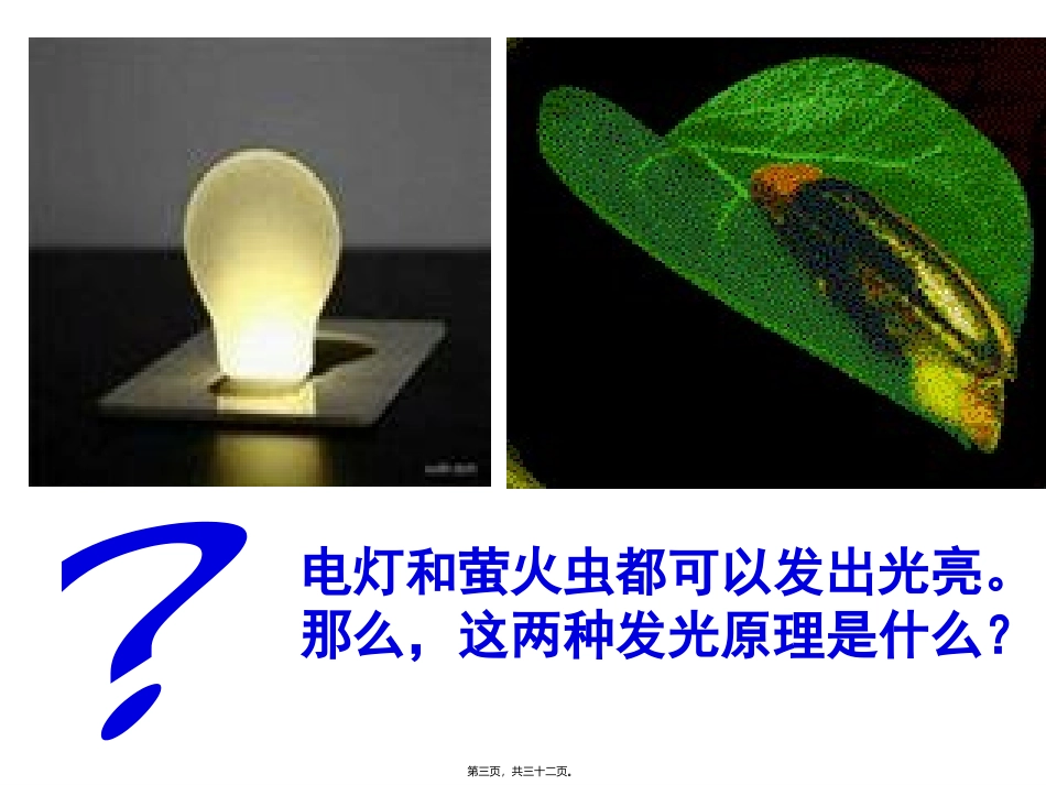 第五章第二节细胞的能量“通货”——ATP 生物课件_第3页