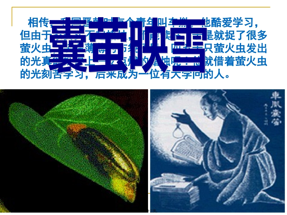第五章第二节细胞的能量“通货”-ATP(优质课) 教学课件_第2页