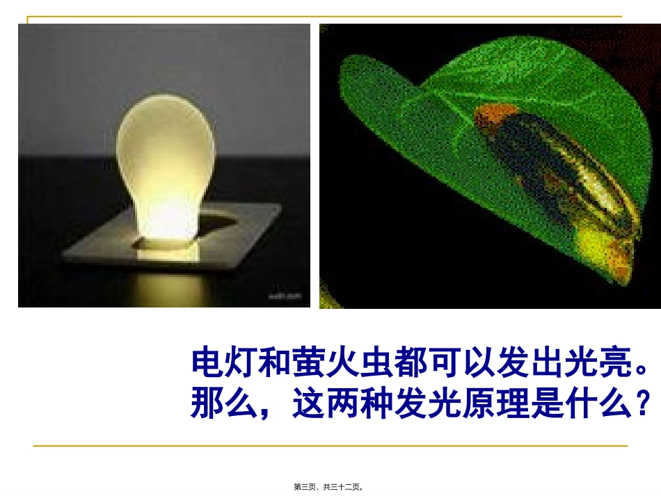 第五章第二节细胞的能量“通货”-ATP(优质课) 教学课件_第3页