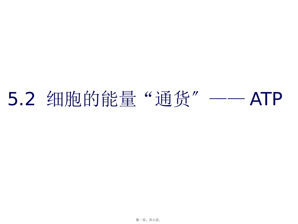 第五章第二节细胞的能量通货——ATP 课件_第1页