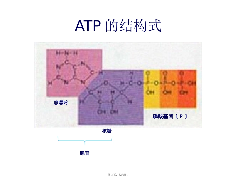 第五章第二节细胞的能量通货——ATP 课件_第3页