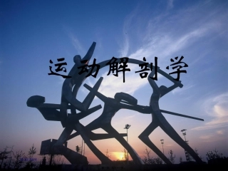 第一章 人体基本构成 运动解剖学课程课件