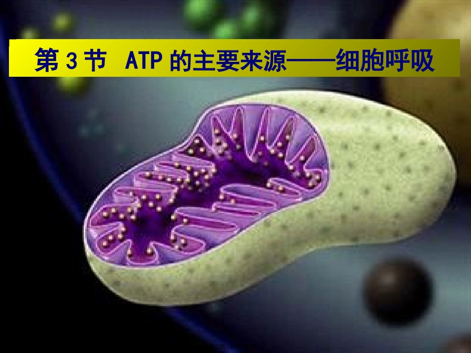 第五章第三节ATP的主要来源──细胞呼吸(用)概述 教学额课件_第2页