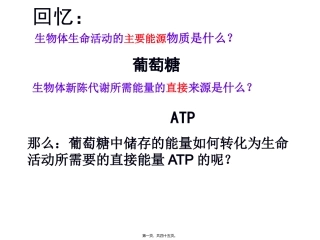 第五章第三节ATP的主要来源──细胞呼吸(用)概述 教学额课件