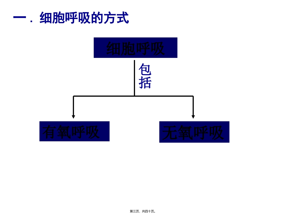 第五章第三节ATP的主要来源—细胞呼吸 教学课件_第3页
