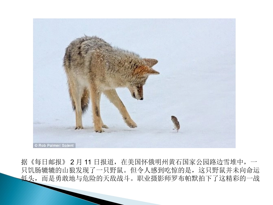 动机与工作效率 应用心理学课程课件_第2页