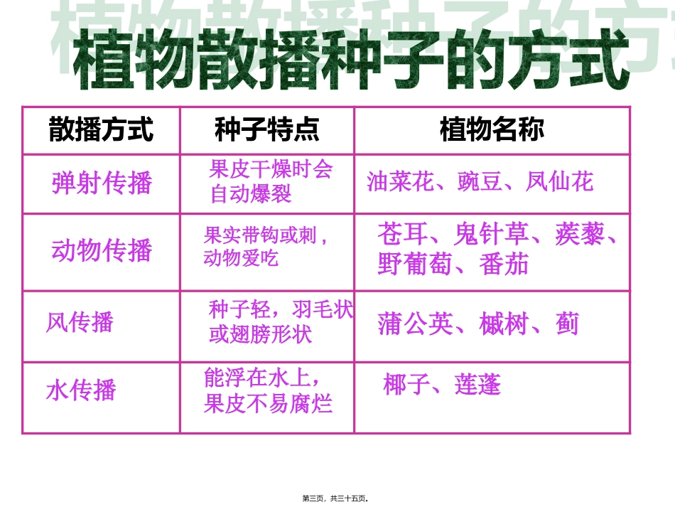 动物的繁殖活动 教学课件_第3页