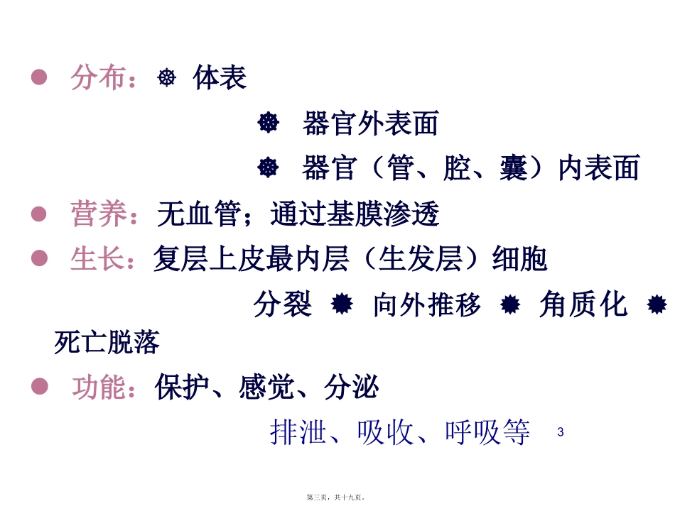 动物的组织结构汇总 生物教学课件_第3页