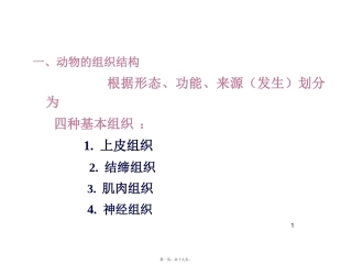 动物的组织结构汇总 生物教学课件