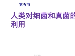 第五章第四节人类对细菌和真菌的利用 教学课件