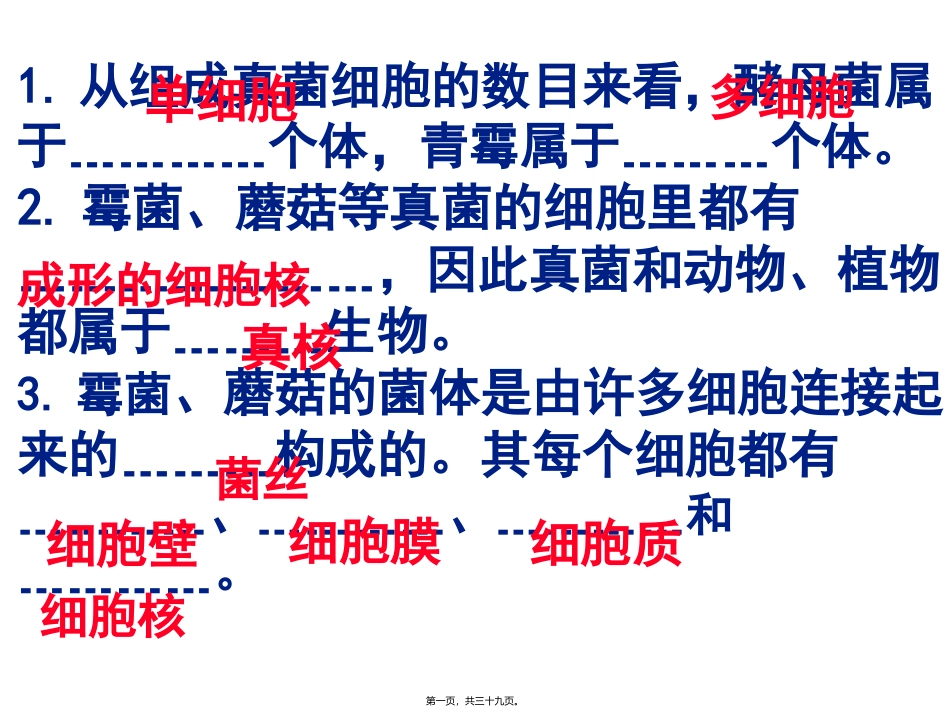 第五章第四节细菌和真菌在自然界中的作用 医学教学课件_第1页