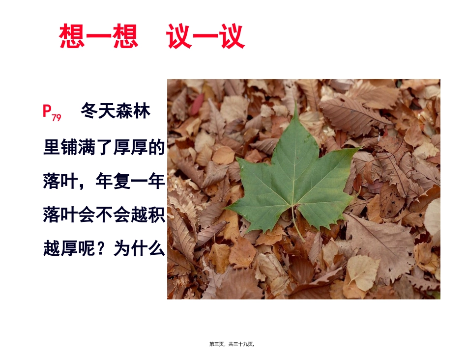 第五章第四节细菌和真菌在自然界中的作用 医学教学课件_第3页