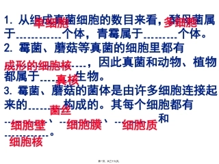 第五章第四节细菌和真菌在自然界中的作用 医学教学课件