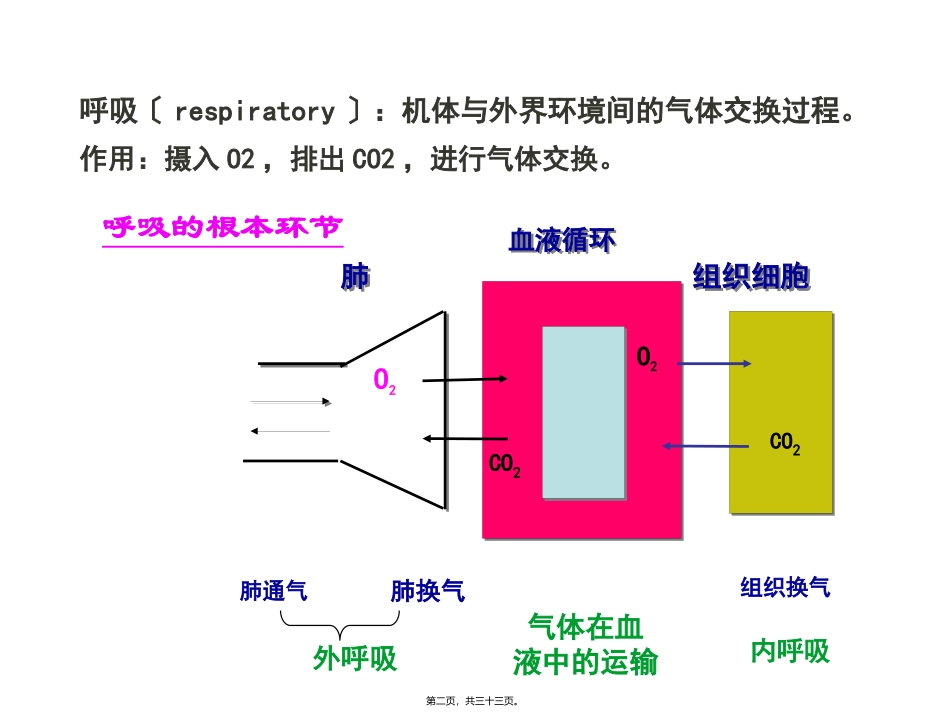第五章-呼吸肺通气原理 教学课件_第2页