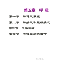 第五章-呼吸肺通气原理 教学课件