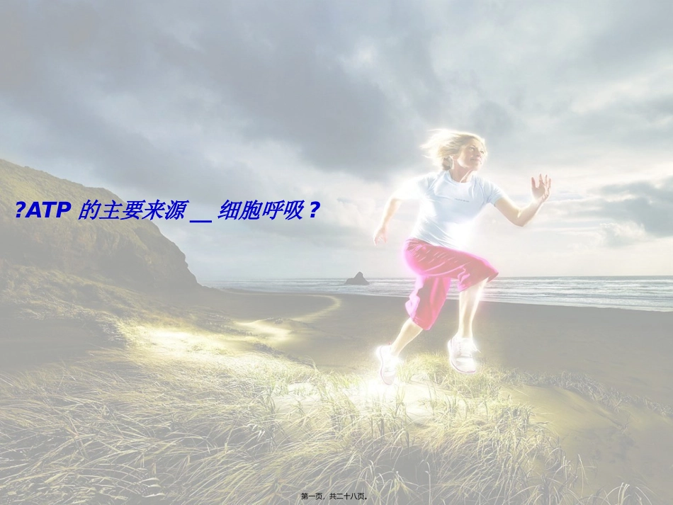 《ATP的主要来源-细胞呼吸》说课稿教学课件_第1页