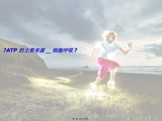 《ATP的主要来源-细胞呼吸》说课稿教学课件