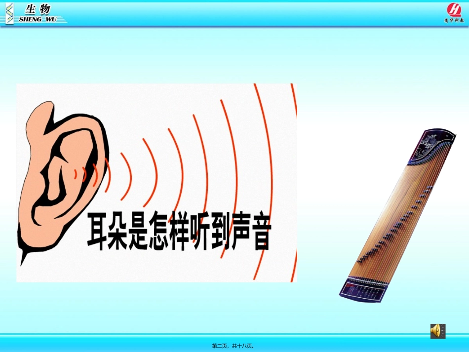 第一节 人体对外界环境的感知 教学课件_第2页