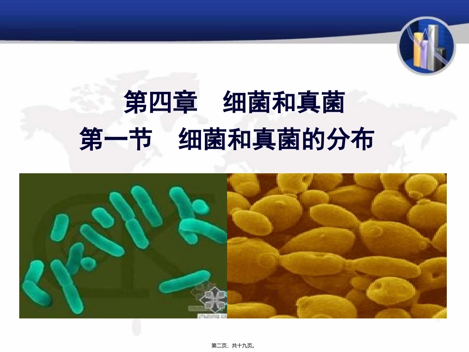 第一节细菌和真菌的分布生物教学课件_第2页