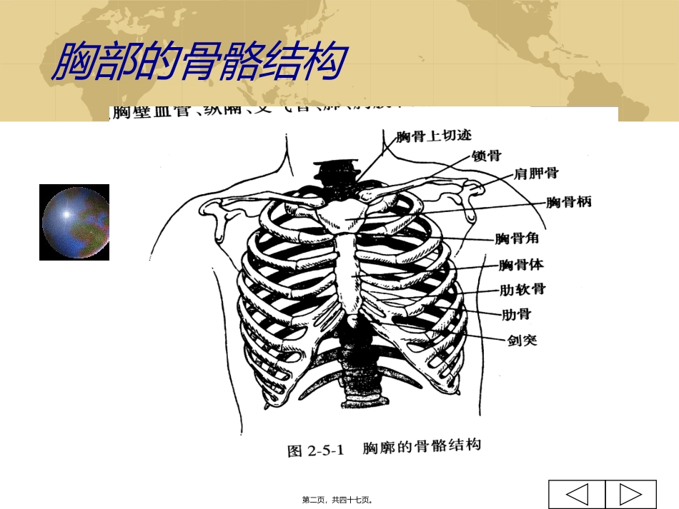 肺部检查概要医学教学课件_第2页